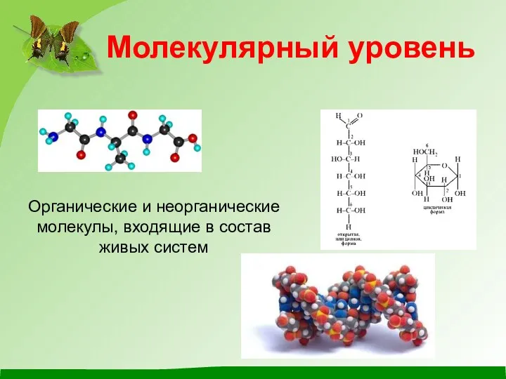 Молекулярный уровень Органические и неорганические молекулы, входящие в состав живых систем