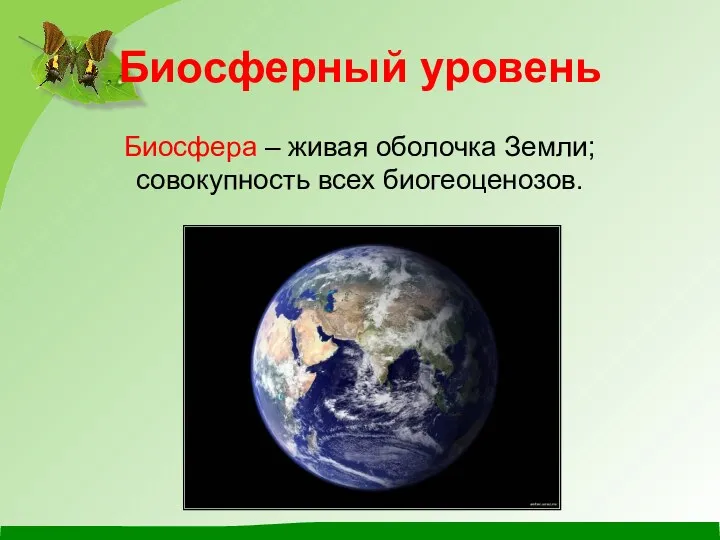 Биосферный уровень Биосфера – живая оболочка Земли; совокупность всех биогеоценозов.