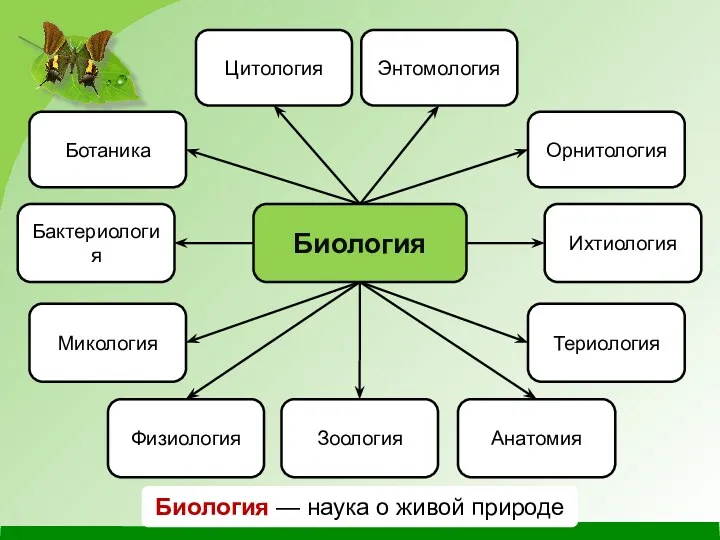 Цитология Биология Энтомология Бактериология Микология Орнитология Ихтиология Териология Анатомия Физиология