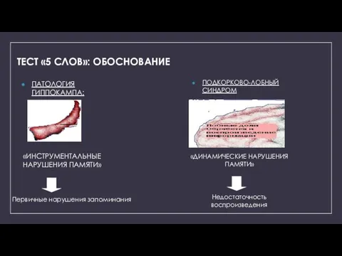 ТЕСТ «5 СЛОВ»: ОБОСНОВАНИЕ ПАТОЛОГИЯ ГИППОКАМПА: ПОДКОРКОВО-ЛОБНЫЙ СИНДРОМ «ИНСТРУМЕНТАЛЬНЫЕ НАРУШЕНИЯ