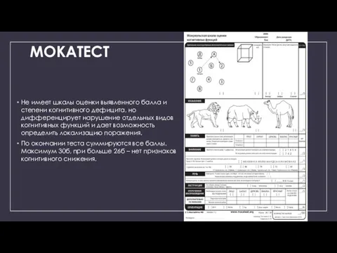 МОКАТЕСТ Не имеет шкалы оценки выявленного балла и степени когнитивного