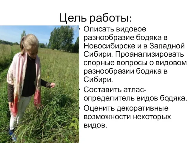 Цель работы: Описать видовое разнообразие бодяка в Новосибирске и в