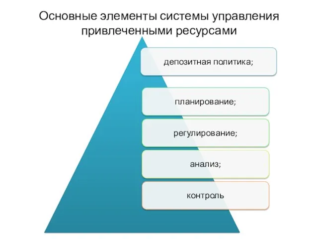 Основные элементы системы управления привлеченными ресурсами