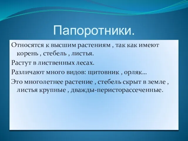 Папоротники. Относятся к высшим растениям , так как имеют корень