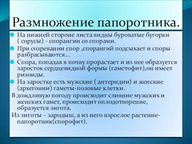 Размножение папоротника. На нижней стороне листа видны буроватые бугорки (