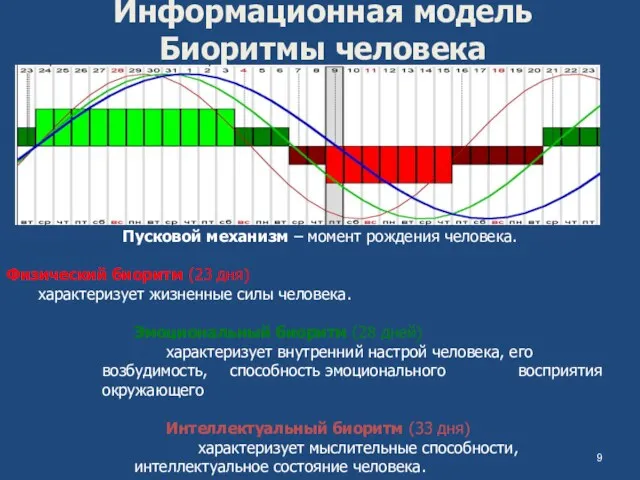 Информационная модель Биоритмы человека Пусковой механизм – момент рождения человека.