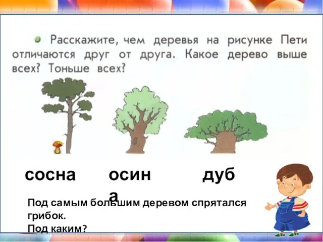 сосна осина дуб Под самым большим деревом спрятался грибок. Под каким?