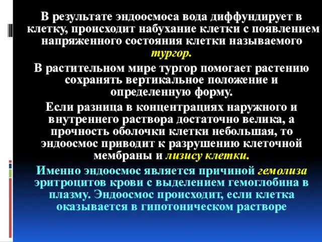 В результате эндоосмоса вода диффундирует в клетку, происходит набухание клетки