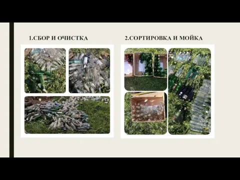 1.СБОР И ОЧИСТКА 2.СОРТИРОВКА И МОЙКА