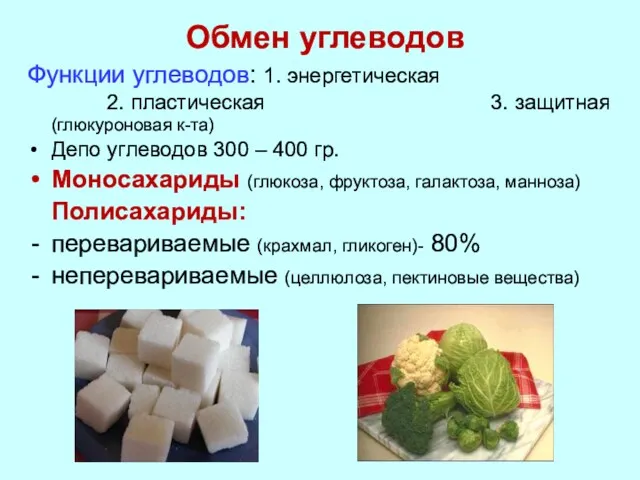 Обмен углеводов Функции углеводов: 1. энергетическая 2. пластическая 3. защитная