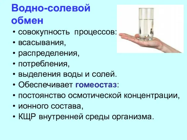 Водно-солевой обмен совокупность процессов: всасывания, распределения, потребления, выделения воды и