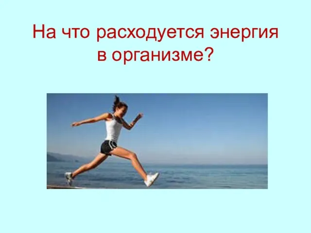 На что расходуется энергия в организме?