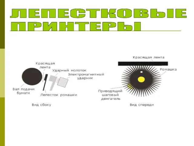 ЛЕПЕСТКОВЫЕ ПРИНТЕРЫ