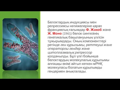 Белоктардың индукциясы мен репрессиясы нәтижелеріне қарап франциялық ғалымдар Ф. Жакоб