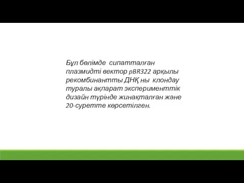 Бұл бөлімде сипатталған плазмидті вектор pBR322 арқылы рекомбинантты ДНҚ ны