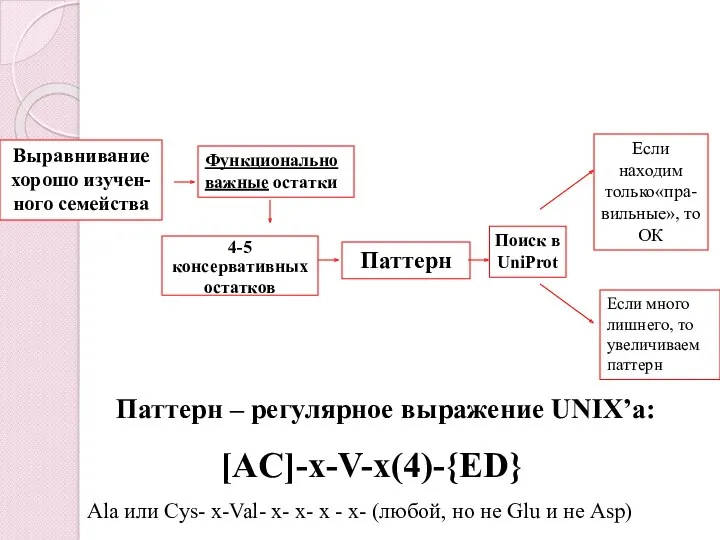 Паттерн – регулярное выражение UNIX’a: [AC]-x-V-x(4)-{ED} Ala или Cys- х-Val-