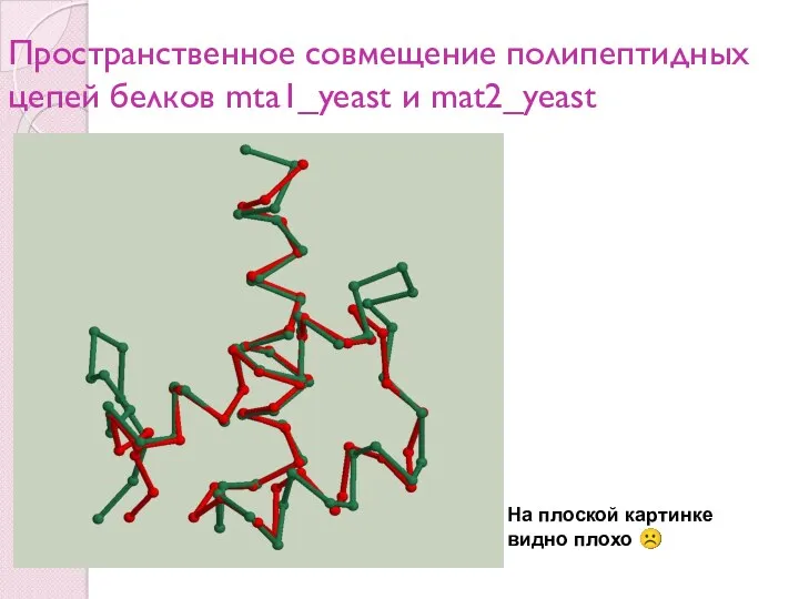 Пространственное совмещение полипептидных цепей белков mta1_yeast и mat2_yeast На плоской картинке видно плохо ☹