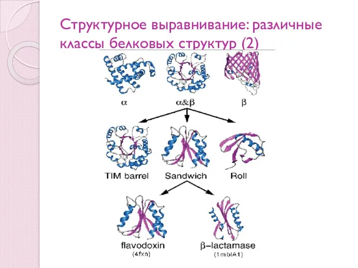 Структурное выравнивание: различные классы белковых структур (2)