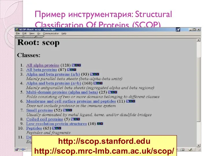 Пример инструментария: Structural Classification Of Proteins (SCOP) http://scop.stanford.edu http://scop.mrc-lmb.cam.ac.uk/scop/