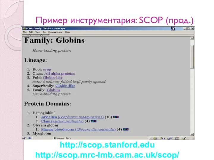 Пример инструментария: SCOP (прод.) http://scop.stanford.edu http://scop.mrc-lmb.cam.ac.uk/scop/