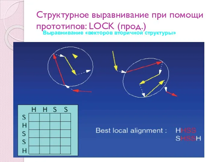 Структурное выравнивание при помощи прототипов: LOCK (прод.) Выравнивание «векторов вторичной структуры»