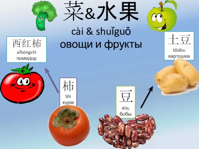 菜&水果 cài & shuǐguǒ овощи и фрукты 西红柿 xīhóngshì помидор 柿 Shì хурма