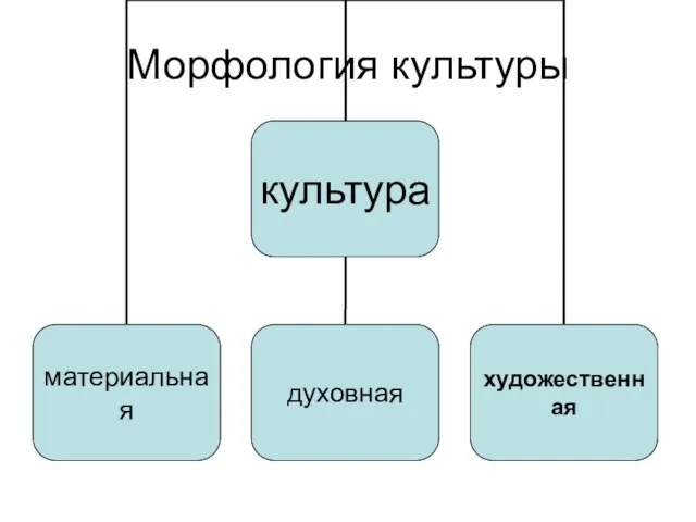 Морфология культуры