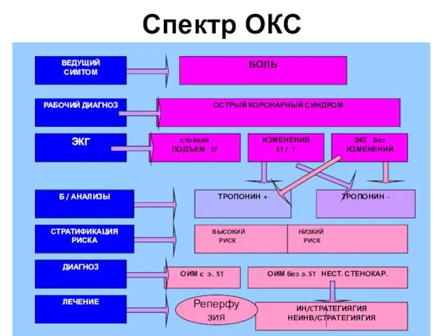 Спектр ОКС Реперфузия