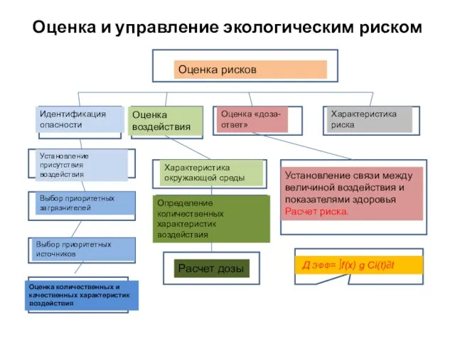 Оценка и управление экологическим риском Оценка рисков Идентификация опасности Оценка воздействия Оценка «доза-ответ»