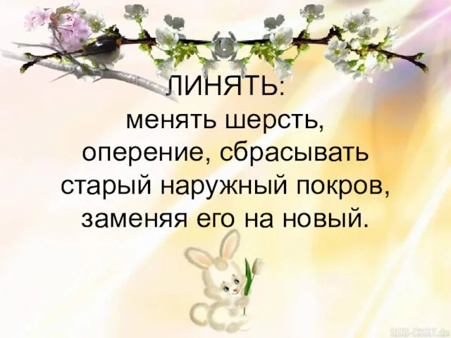 ЛИНЯТЬ: менять шерсть, оперение, сбрасывать старый наружный покров, заменяя его на новый.