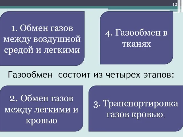 Газообмен состоит из четырех этапов: 1. Обмен газов между воздушной