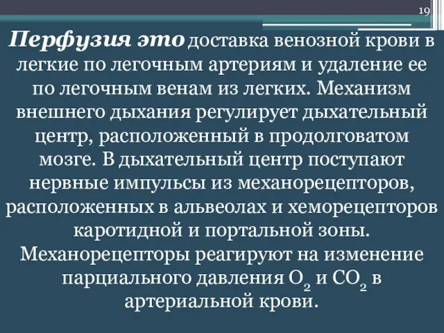 Перфузия это доставка венозной крови в легкие по легочным артериям