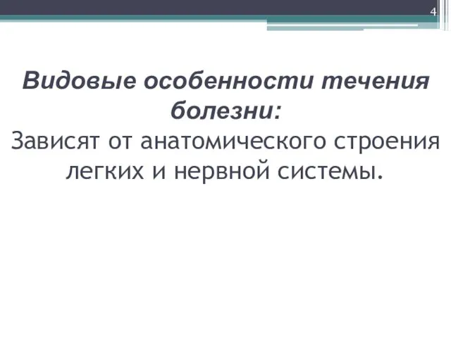 Видовые особенности течения болезни: Зависят от анатомического строения легких и нервной системы.