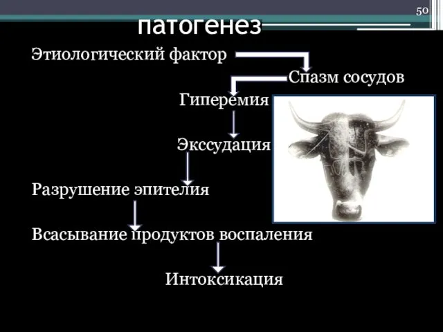 патогенез Этиологический фактор Спазм сосудов Гиперемия Экссудация Разрушение эпителия Всасывание продуктов воспаления Интоксикация