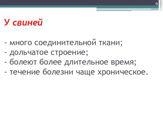 У свиней - много соединительной ткани; - дольчатое строение; -