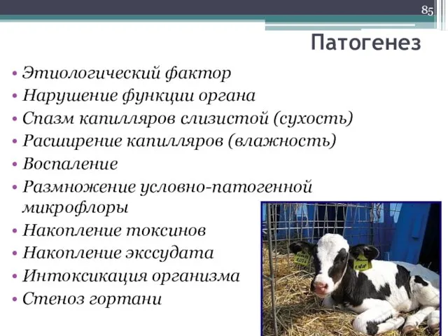 Патогенез Этиологический фактор Нарушение функции органа Спазм капилляров слизистой (сухость)