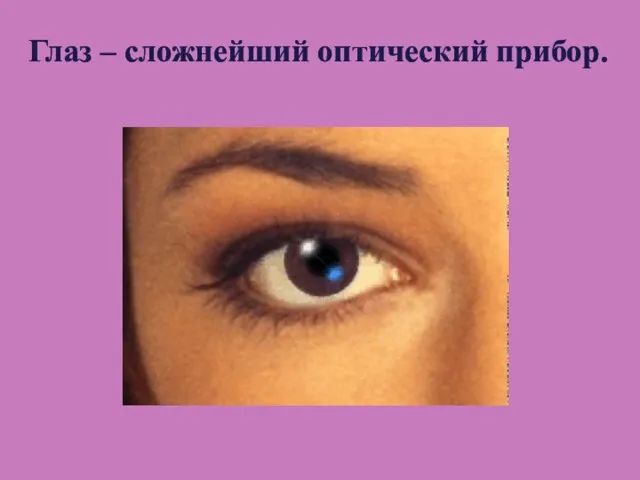 Глаз – сложнейший оптический прибор.