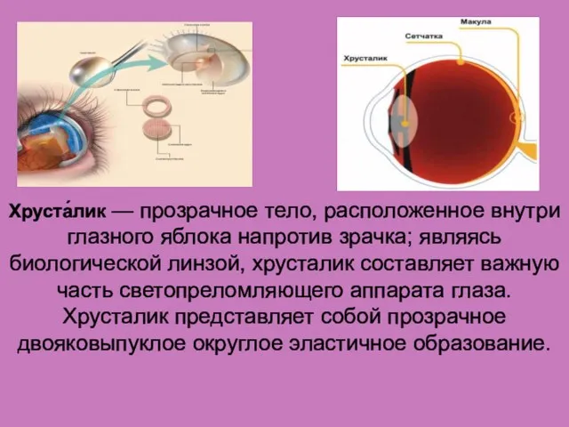 Хруста́лик — прозрачное тело, расположенное внутри глазного яблока напротив зрачка;