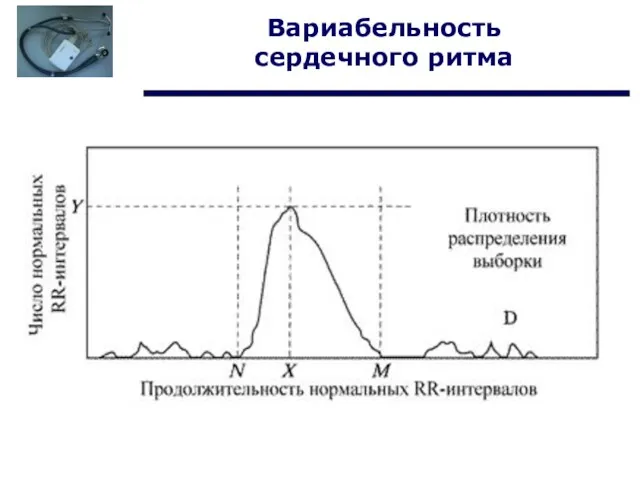 Вариабельность сердечного ритма