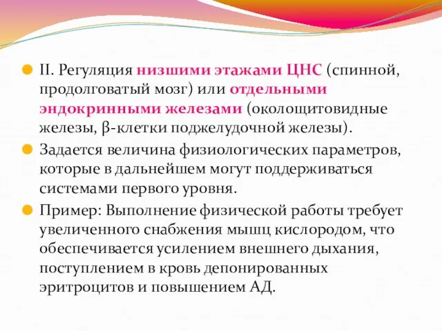 II. Регуляция низшими этажами ЦНС (спинной, продолговатый мозг) или отдельными