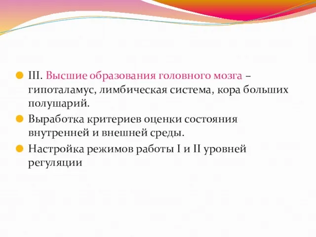 III. Высшие образования головного мозга – гипоталамус, лимбическая система, кора