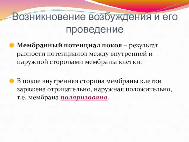 Возникновение возбуждения и его проведение Мембранный потенциал покоя – результат