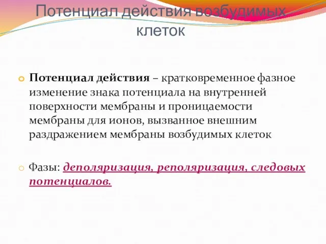 Потенциал действия возбудимых клеток Потенциал действия – кратковременное фазное изменение