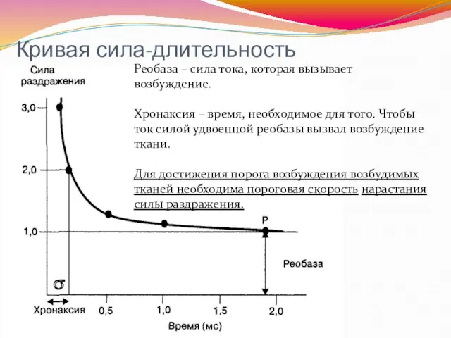 Кривая сила-длительность Реобаза – сила тока, которая вызывает возбуждение. Хронаксия