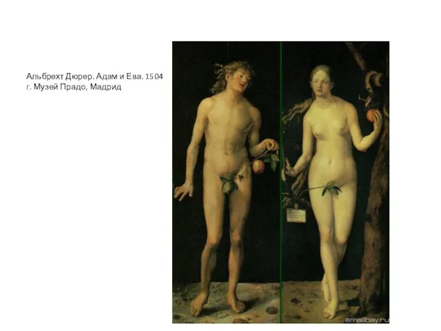 Альбрехт Дюрер. Адам и Ева. 1504 г. Музей Прадо, Мадрид