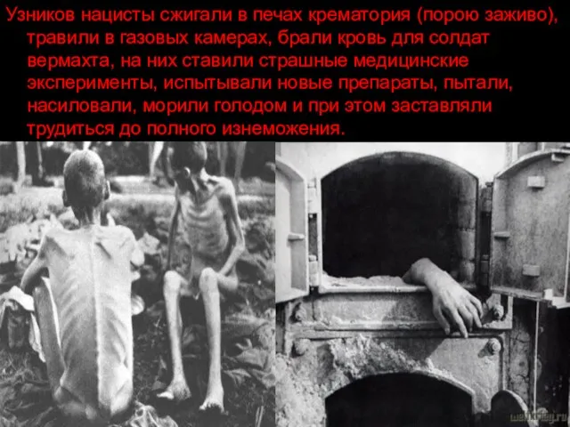 Узников нацисты сжигали в печах крематория (порою заживо), травили в