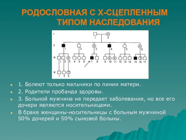 РОДОСЛОВНАЯ С Х-СЦЕПЛЕННЫМ ТИПОМ НАСЛЕДОВАНИЯ 1. Болеют только мальчики по