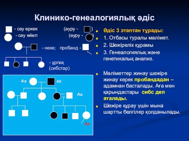 Клинико-генеалогиялық әдіс - сау еркек (ауру - ) - сау