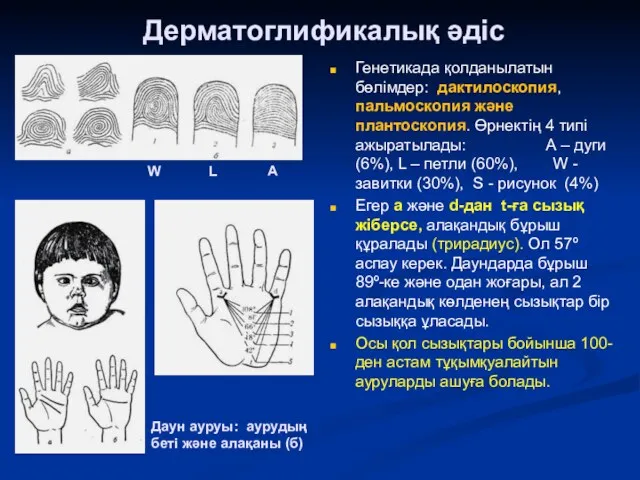 Дерматоглификалық әдіс Генетикада қолданылатын бөлімдер: дактилоскопия, пальмоскопия және плантоскопия. Өрнектің