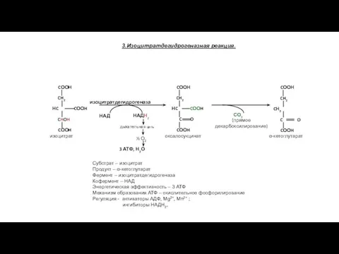 3.Изоцитратдегидрогеназная реакция. оксалосукцинат α-кетоглутарат СО2 (прямое декарбоксилирование) изоцитратдегидрогеназа Субстрат –